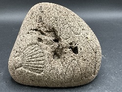 167551