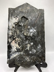 171786