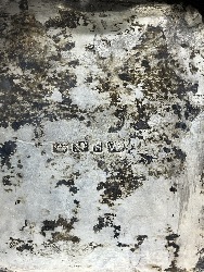173768