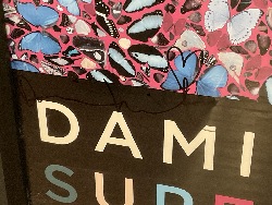 185677