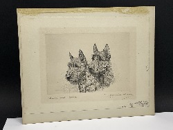 185767