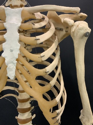207242