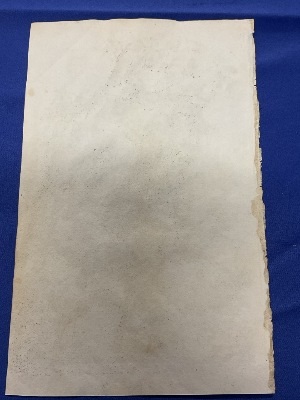 207389