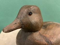 206561