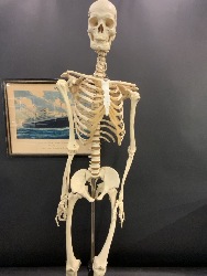 207240