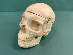 207241