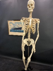 207250