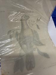 207418