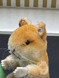 215981