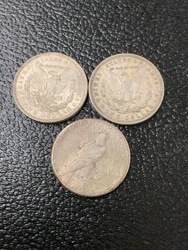 223813