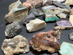 224651