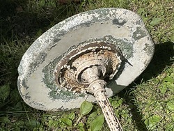 225582