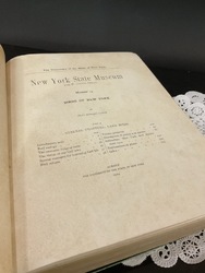 225591