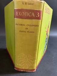 226369