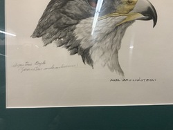 228053